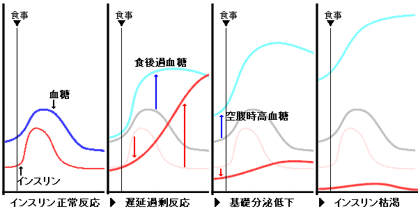 血糖 値 グラフ 食後