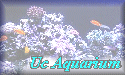 Uc Aquarium
