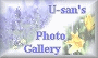 U-san's Photo Gallery