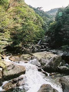 世界自然遺産・屋久島